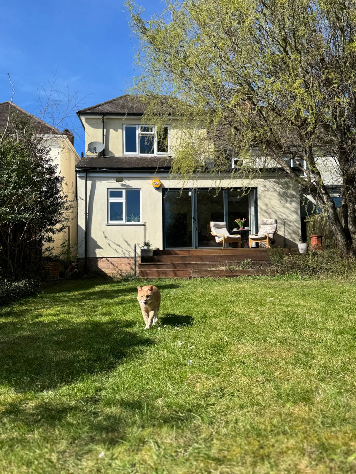 Everyone Can Enjoy Your Garden